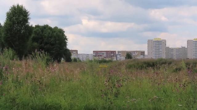 Там, где доцветает кипрей. Кемерово