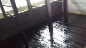 Каровник для быков