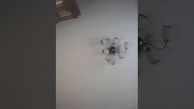 Футляр для градусника смотреть онлайн