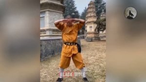 Шаолиньское КУНГ ФУ в РЕАЛЬНОСТИ 🥋 Демонстрация стиля