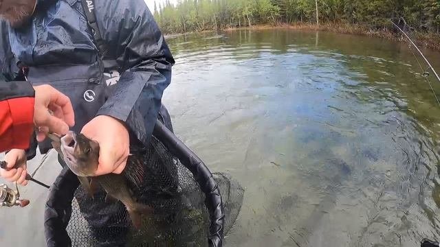 Рыбалка на Кольском