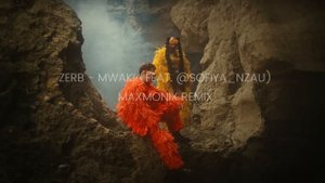 Zerb - Mwaki (Feat. @Sofiya_Nzau)(maxmonix remix)