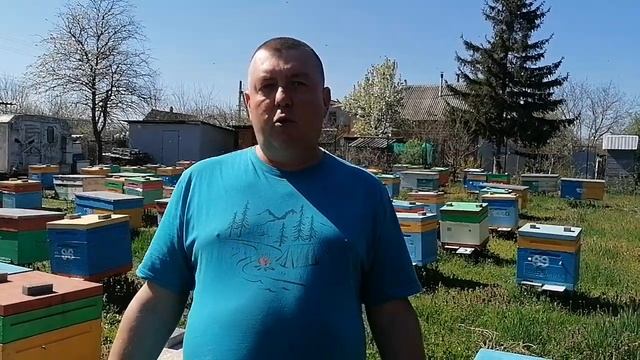 Этандиовая кислота VS Амитраз при лечении варроатоза смотреть онлайн