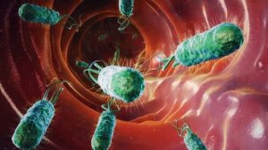 10 жутких фактов о теле человека!