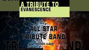 Bring Me to Life (Karaoke Version) (Originally Performed By Evanescence)