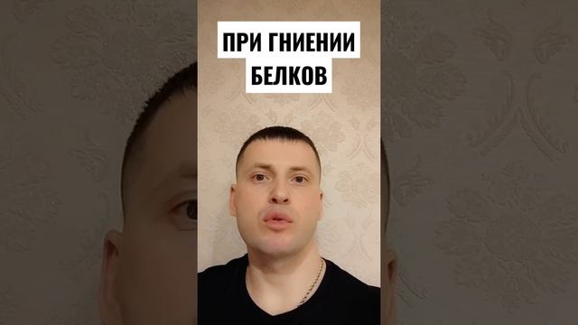 Три определения девушки. Газ при гниении белка. Газ при гниении белка. Переваривание белков в желудке. Итог или вывод по азоту.