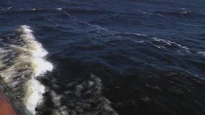 " Стихия ... "  Музыкальная шкатулка