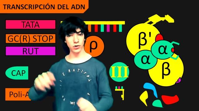 Elementos de Transcripción VERSIÓN MEJORADA