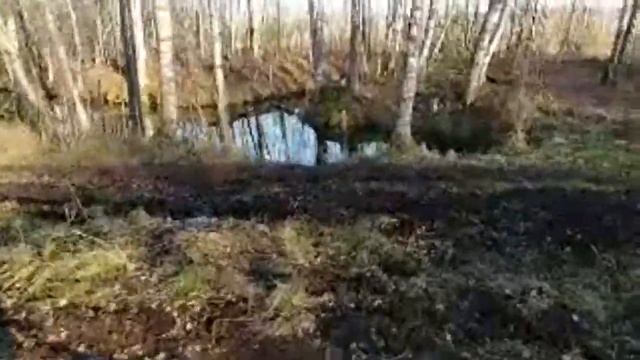 Затянуло В Болоте смотреть онлайн