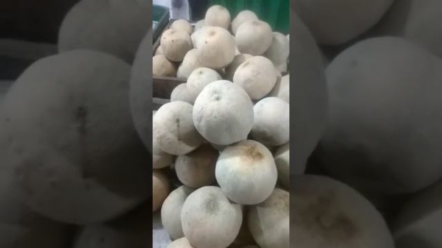 Manfaat Melon untuk Kesehatan Tubuh yang jarang diketahui