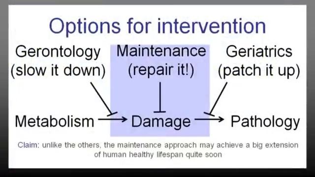 Undoing aging: Aubrey de Grey at TEDxDanubia 2013 смотреть онлайн