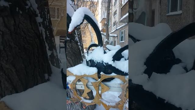 Мишку и чёрного лебедя на 18 мкр занесло снегом - пятый натиск зимы в ноябре 2021 год