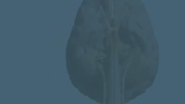 #Анатомия человека #Инсон # смотреть онлайн