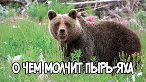 Записки Сибирского Натуралиста 4 сезон, 17 серия. О чем молчит Пырь-Яха.