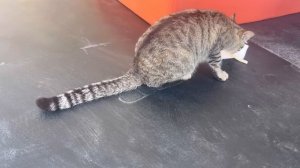 Отдых в Турции: отель Panorama, отличный хаммам и массаж. Погода в Турции Курс Лиры