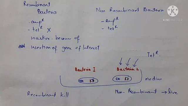 Vectors/ Molecular Carriers- Chapter-Biotechnology Class-12 Biology