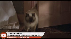 7 классных фильмов про животных!