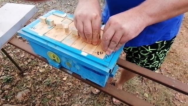 Пчеломатки Бакфаст Пола Юнгельса смотреть онлайн