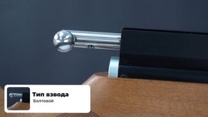 Пневматическая винтовка Artemis M22