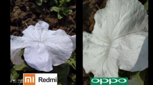 Oppo Reno 5 vs Redmi Note 9 pro Camera Test & Comparison in Pakistan with Camera Samples