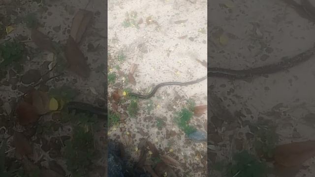 14 ตุลาคม ค.ศ. 2023 смотреть онлайн