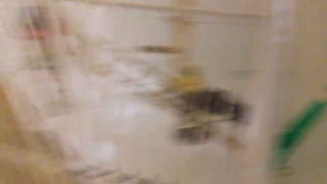 Попугаи купаются - милость смотреть онлайн