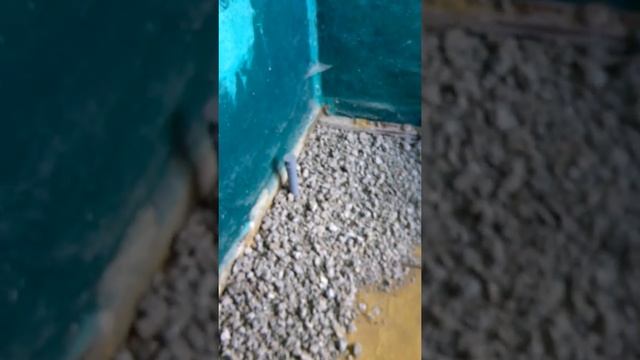 Подушка из щебня стяжка пола кухня.