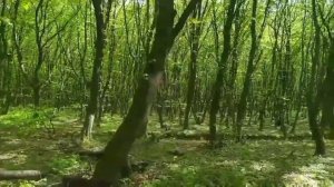 Ничего не поделаешь пришлось согласиться