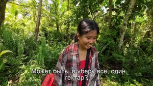 МЫ НАЧАЛИ УБОРКУ УЧАСТКА И НАШЛИ ИСТОЧНИК ВОДЫ /ЖИЗНЬ НА ОСТРОВЕ /ФИЛИППИНЫ