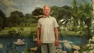 Верность Лебедей-