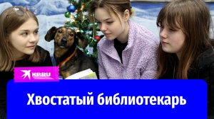 «Послушай, Луша»: в Сыктывкаре работает собака-библиотекарь