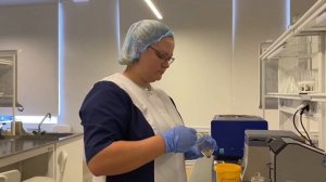 Определение падевого меда