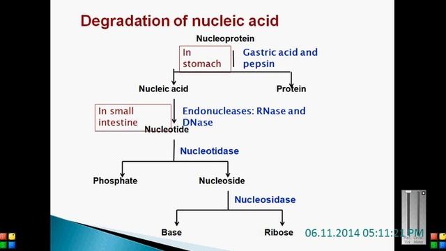 BIOCHEMISTRY TUTORIAL смотреть онлайн