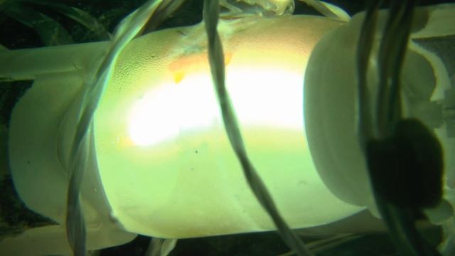 Osram HQI-E 150W - metal halide lamp