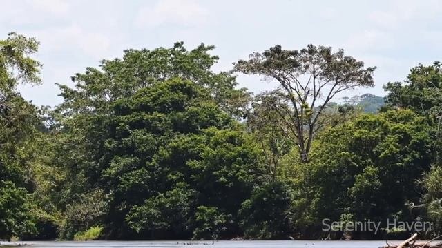 Восстановление нервной системы Успокаивающая музыка успокаивает нервную систему и радует душу