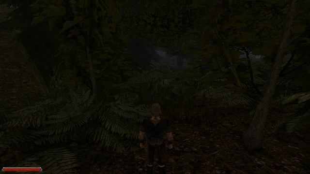 Gothic 2 Walkthrough Part № 2