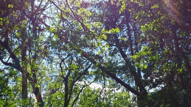 ITS NOT TO LATE (Audio Drama) (Do open the captions for dialog script) смотреть онлайн