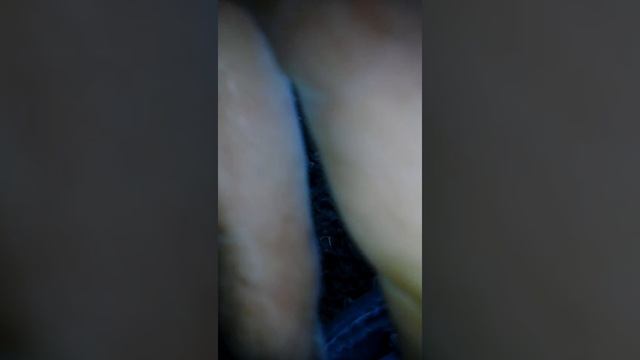 Економія солярки.