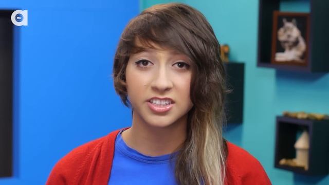 Top 3 Exotic Animals You Can Own As Pets