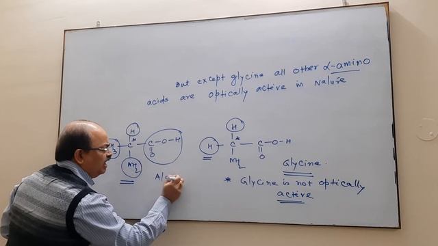 BIOMOLECULES (Proteins) lecture 6