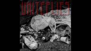 Whiteflies - W.T.N.F.D.