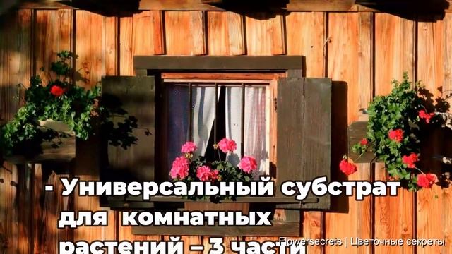 Идеальная почва для герани: советы, которые работают | flowersecrets смотреть онлайн