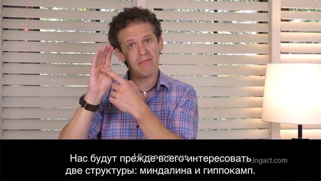 "Ручная" модель человеческого мозга смотреть онлайн