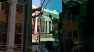 Удаление кислотного, химического граффити со стекла салона цветов.