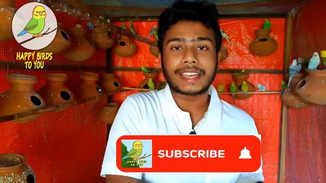 WHY CALCIUM IS IMPORTANT FOR BIRDS? SOURCES OF CALCIUM  | HAPPY BIRDS TO YOU