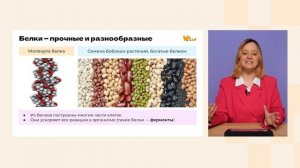 Органические и неорганические вещества растения | Биология 6 класс | Домашняя школа Фоксфорда