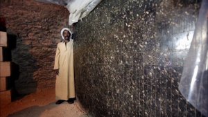 ТЕОРИЯ ПАЛЕОКОНТАКТА