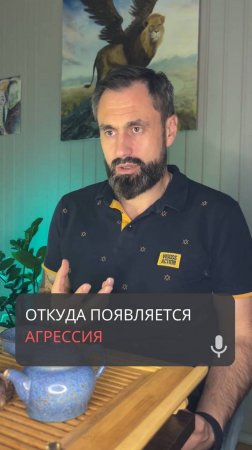 Откуда появляется агрессия