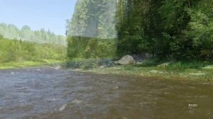 Сплав по реке Койва часть 1  ВНДС 2024 Пермский край.