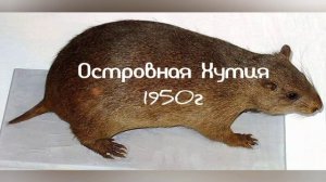 Животные вымершие за последние 100 лет.